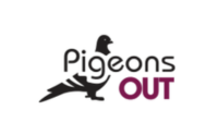Pigeons Out Pigeons Out
